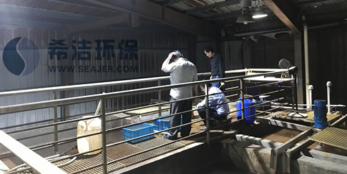 AGGAME铬废水重金属捕捉处理工艺